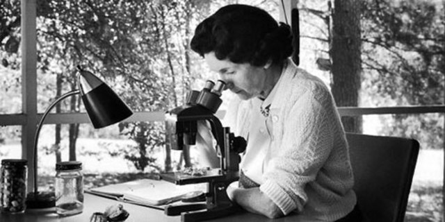 Begins working for the Department of Interior