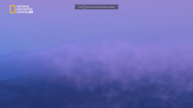 Los oceanos se vuelven rosa