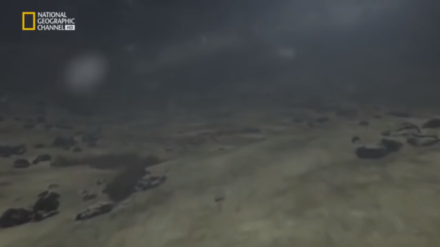 Inicio de la extinción de los animales.