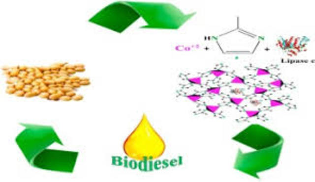 Proceso de obtención de Biodiesel de calidad completado