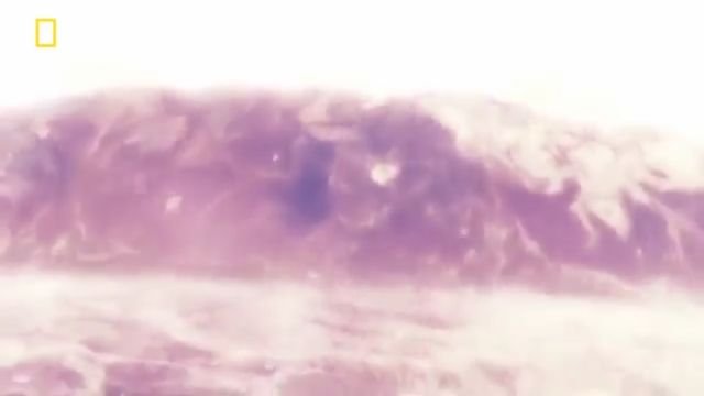 Que paso despues del choque?