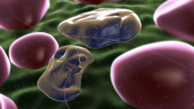 Descubrimiento del parásito de la Malaria