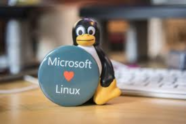 Microsoft Develops Linux