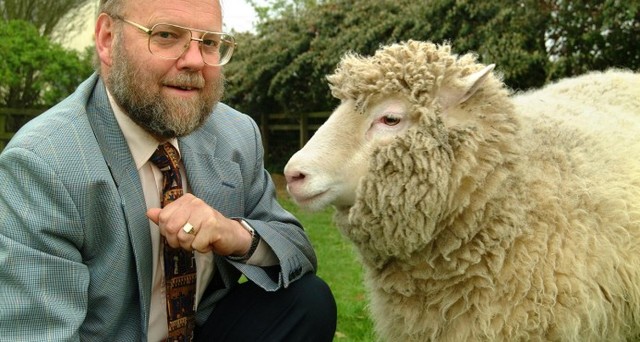 Clonación de la oveja Dolly