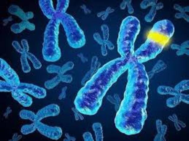 Modificación Epigenética