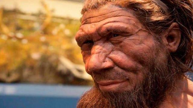 Homo sapiens sapiens