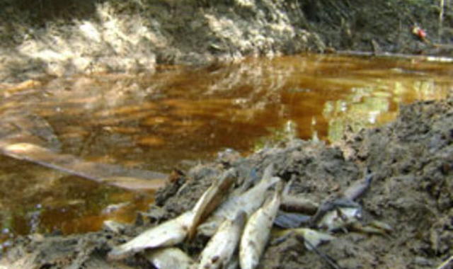 Iquitos - Barrio Florido