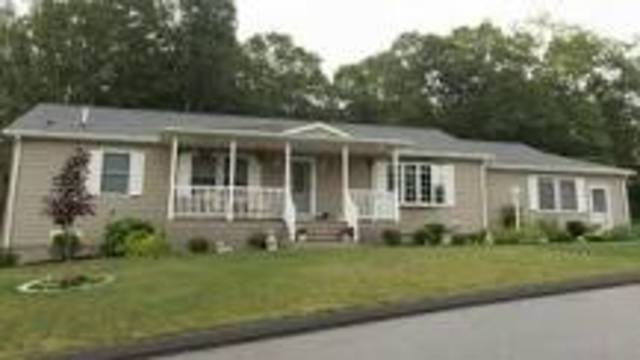 When we moved to the trailer house