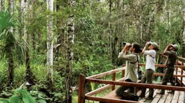 DESARROLLO TURÍSTICO SOSTENIBLE