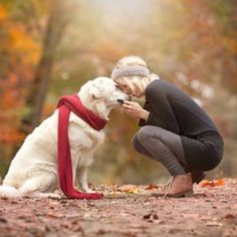 SESIÓN DE FOTOS CON MASCOTA