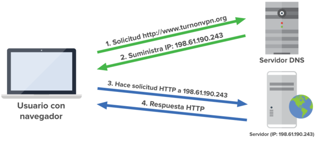 Domain Name System (DNS)