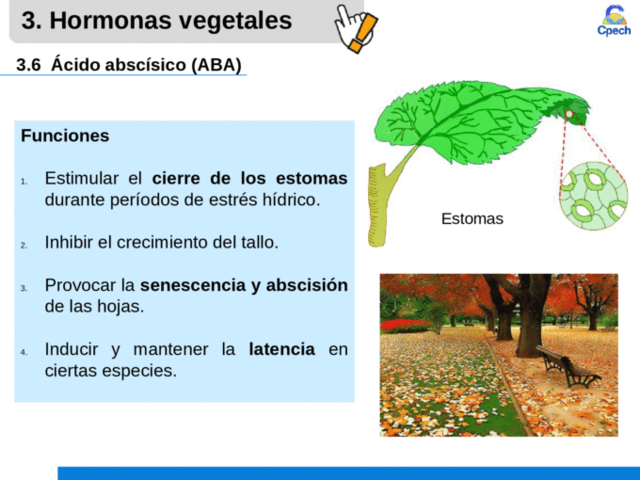 Ciencía Receptor hormona ABA