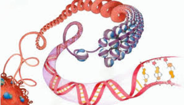 Definición reciente de Epigenética