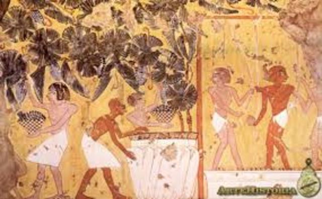 Figura del inspector