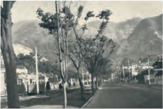 Avenida Chile ó Calle 72