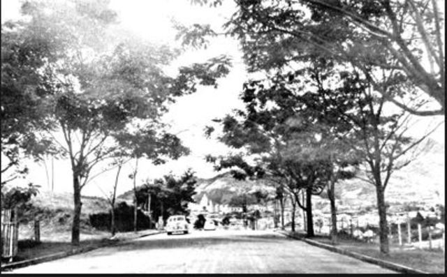 Avenida Circunvalar o Avenida de los Cerros