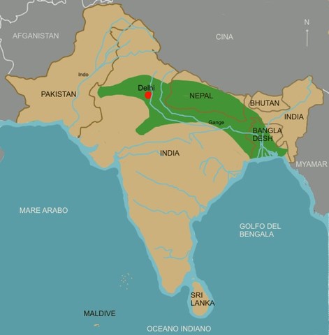 Istituzione del sultanato di Delhi in India