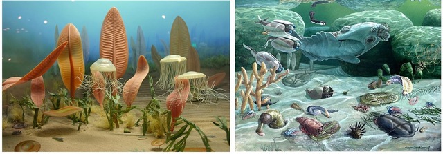 EXPLOSIÓN DE VIDA EN LOS OCÉANOS