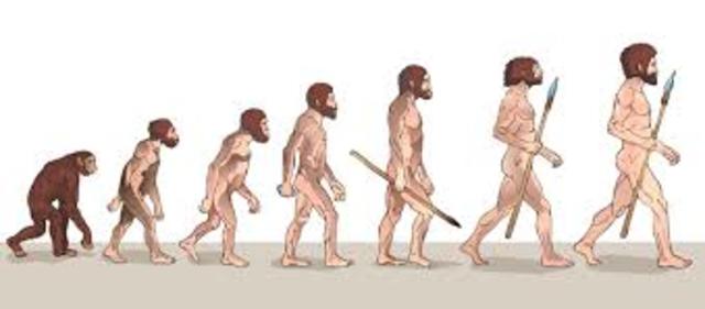 La Pedagogía y la Educación en sus inicios