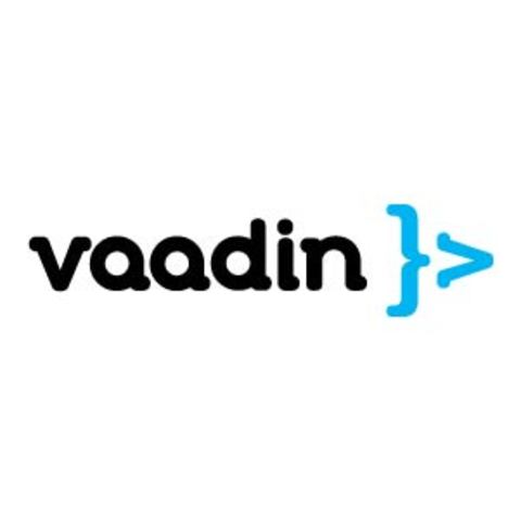 Finaliza formación Vaadin