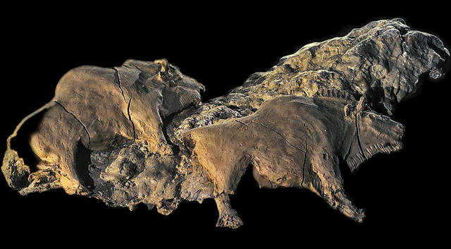 Bisontes Le tuc d´Audoubert