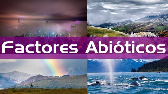 FACTORES ABIOTICOS