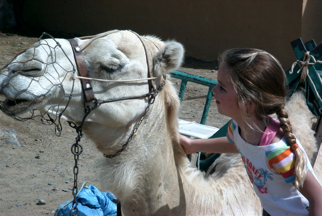 Vakantie Gran Canaria