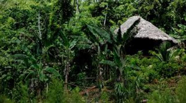 Batalla del nudo de paramillo