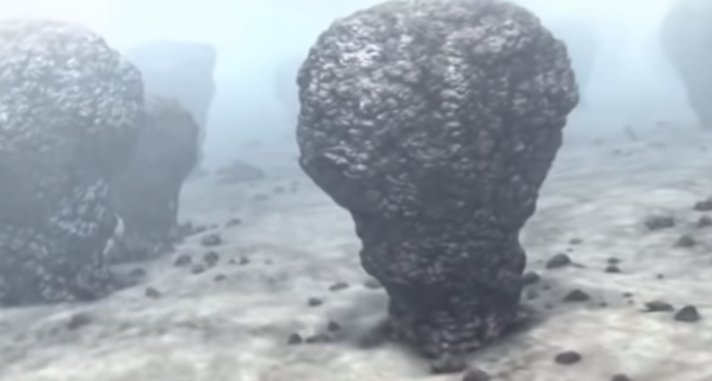 FORMACIÓN DEL OXIGENO