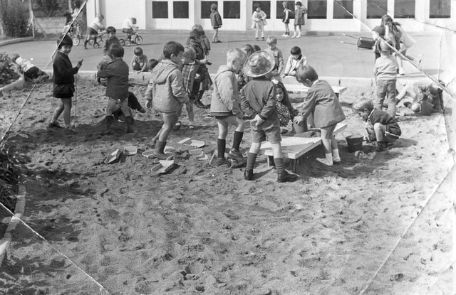 Pedagogía Científica