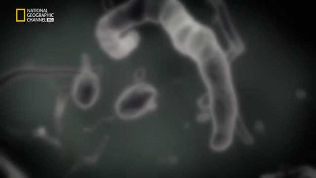 Primeras formas de vida