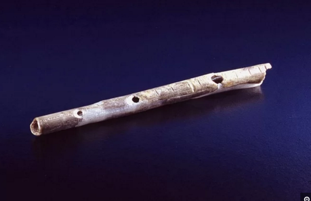 The first musical instrument made