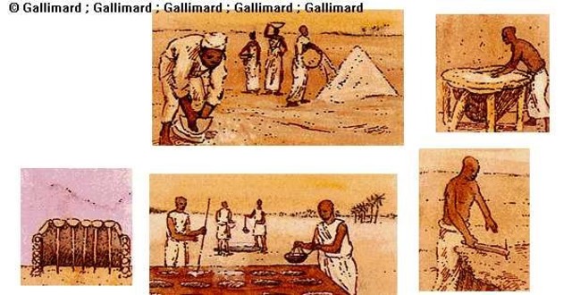 Obtención de la Sal