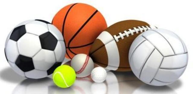 Afició pels esports