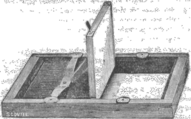 Albumen Paper Process