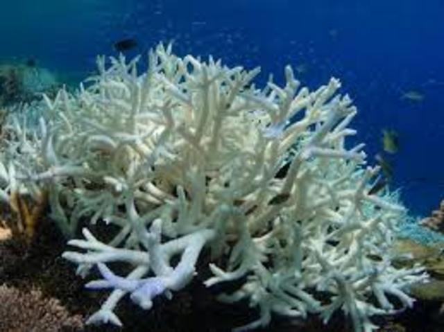 Darwin publica The Structure and Distribution of Coral Reefs