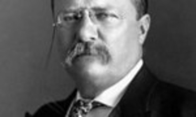 Theodore roosevelt