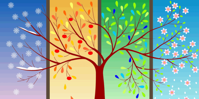 Spring, Summer, Fall and Winter.