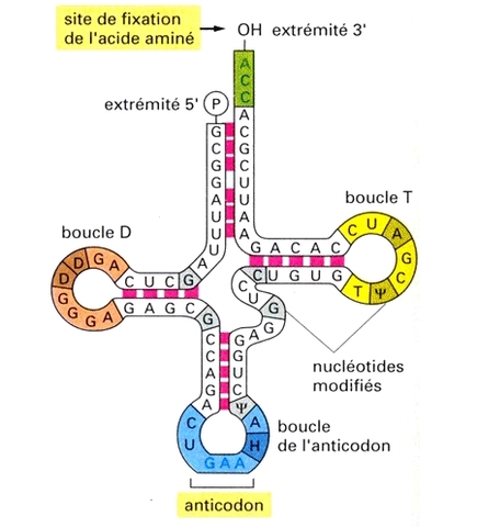 Spectroscopie au rayon X