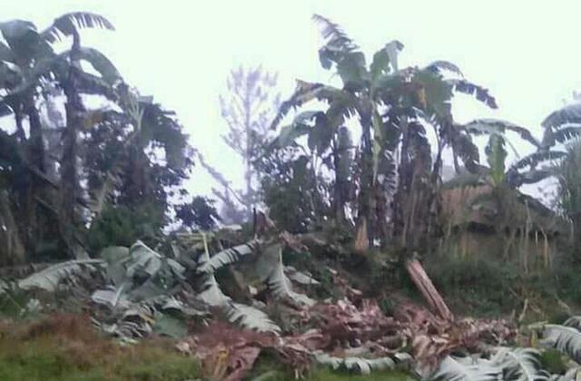 Papua New Guinea Quake (Papua New Guinea)