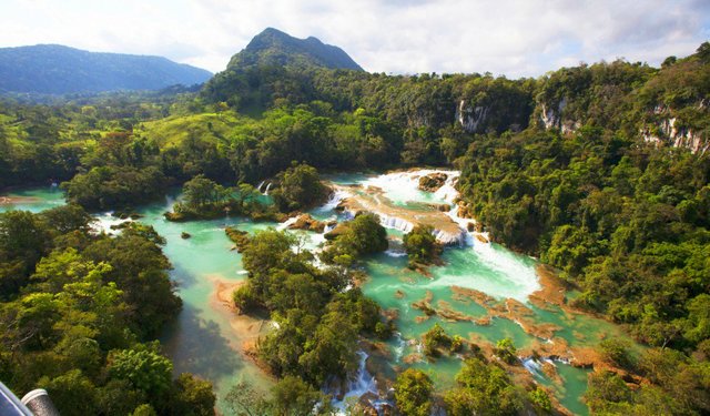 Reserva "Selva Lacandona"