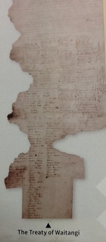Treaty waitangi