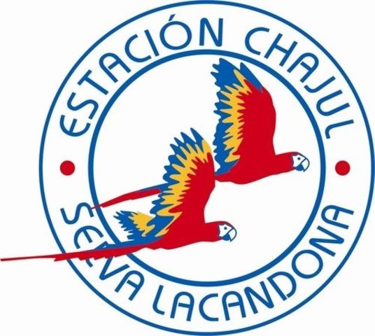 En funcionamiento la estación