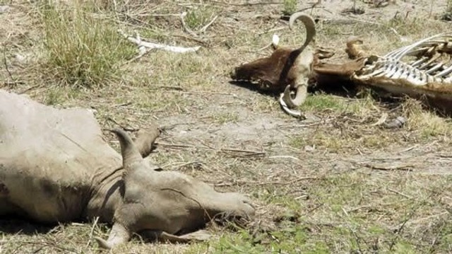 Problemas ambientales de la sabana