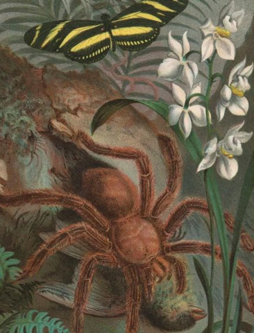 Louis Prang Awarded Medal for Artistic Excellence