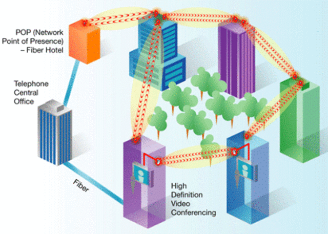 RED DE ÁREA DE CAMPUS (CAN).