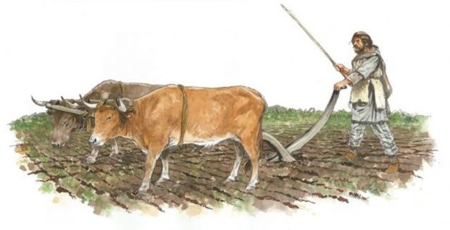 Onstaan van landbouwsamenleving in het Midden-Oosten