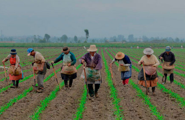 Política agraria integral