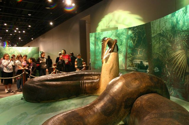 titanoboa