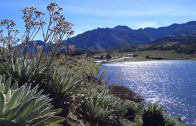 Recursos naturales y su protección en la nueva constitución de Colombia